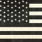 Black & White USA Flag Xbox One X Console Skin